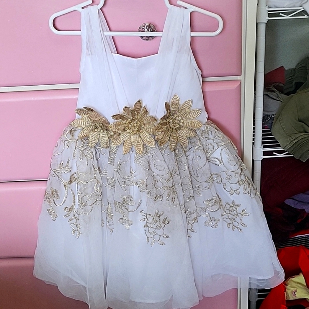 Fancy girl's dress